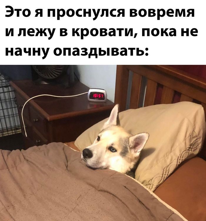 ЭТО Я ПРОСНУЛСЯ вовремя И лежу В КРОВЗТИ пока не начну опаздывать