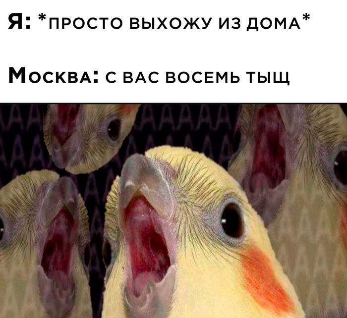 Я просто выхожу из ЦОМА МОСКВА С ВАС ВОСЕМЬ ТЫЩ