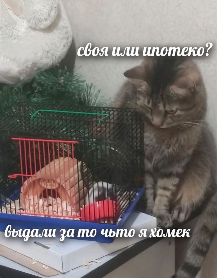 _ дк и 4 ЧЁЁЦЕЪ ЁЁ аь