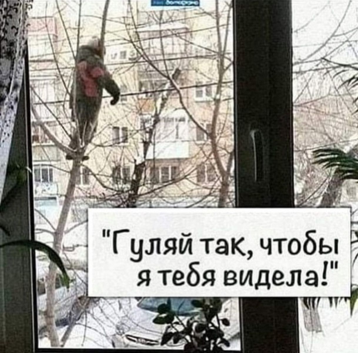 1 _ _ _ 1 _ Гуляй такчтобы Е _ я тебя видела