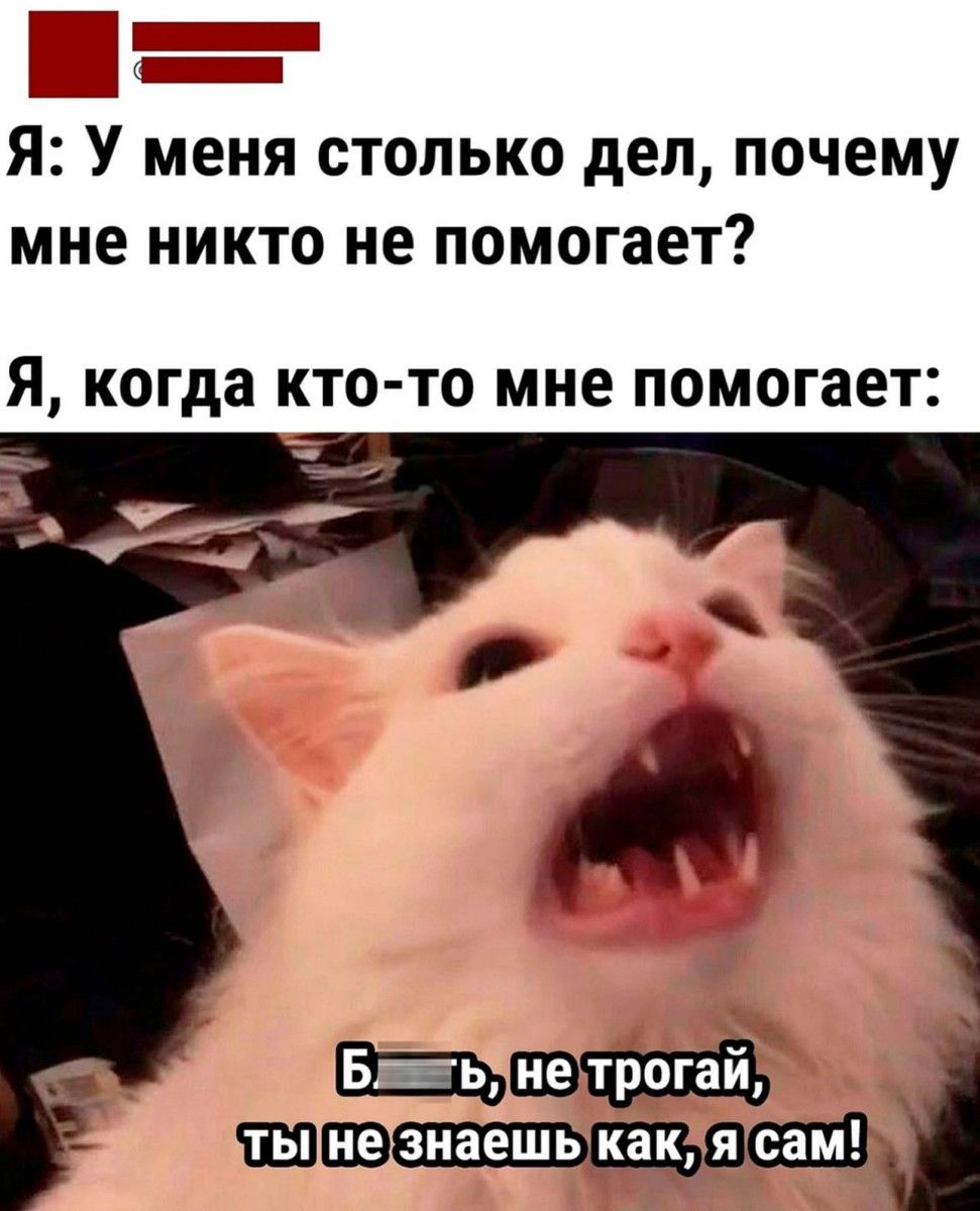 _ Я У меня столько дел почему мне никто не помогает Я когда КТО ТО мне помогает _ ььне трогай тв е15йаешь как я сам