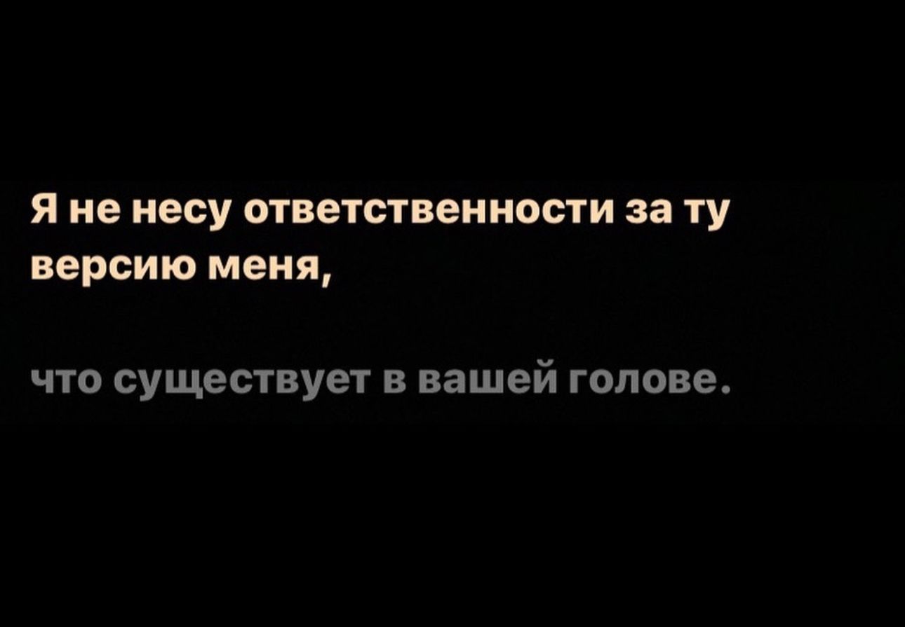 я не несу ответственности за ту версию меня что существует в вашей голове