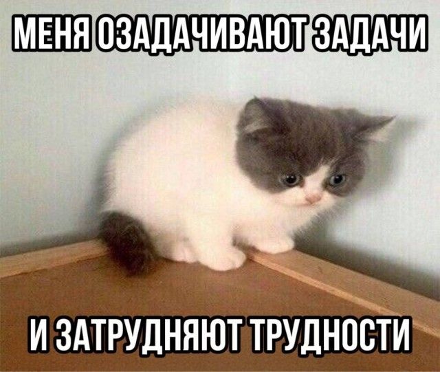 ШШШШПЩШ И ЗАТРУДННЮТ ТРУДНОСТИ
