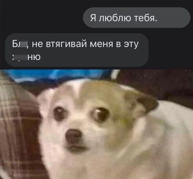 Я люблю тебя БЕ не втягивай меня в эту _ ню