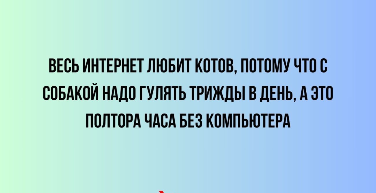 ВЕСЬ ИНТЕРНЕТ ЛЮБИТ КОТОВ ПОТОМУ ЧТО С ООБАКОЛ НАДО ГУЛЯТЬ ТРИЖдЫ В ЛЕНЬ А ЗТО ПОЛТОРА ЧАОА БЕЗ КОМПЬЮТЕРА