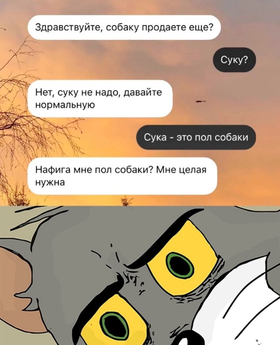 Здравствуйте собаку продаете еще суку Нет суку не нада давайте нормальную Сука _ это под собаки НаФига мне под собаки Мне Целая нужна