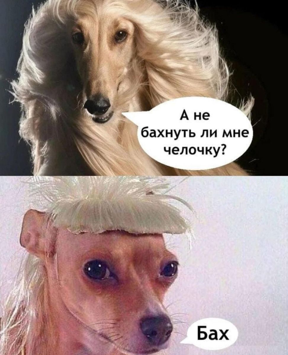 А не бахнуть ли мне челочку