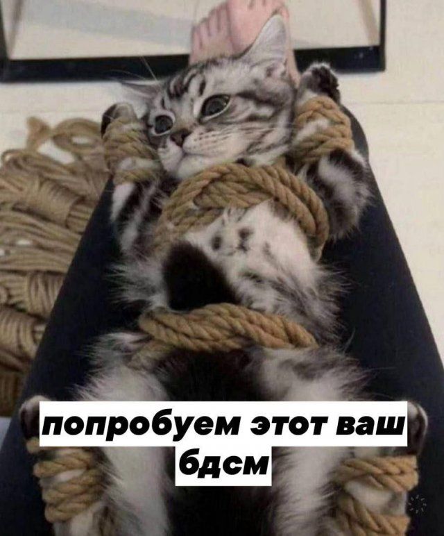 попрдбуем этот ваш бдсм