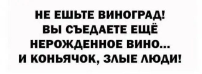 и ЕШЬТЕ виногмд вы сидите ЕЩЁ врожденное вино и коиьячок мы МОАИ