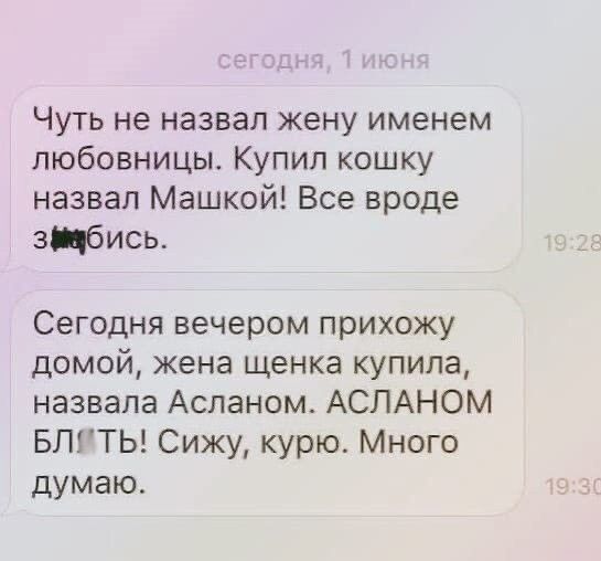 Чуть не назвал жену именем любовницы Купил кошку назвал Машкой Все вроде зйбись Сегодня вечером прихожу домой жена щенка купила назвала Асланом АСЛАНОМ БтТЬ Сижу курю Много думаю