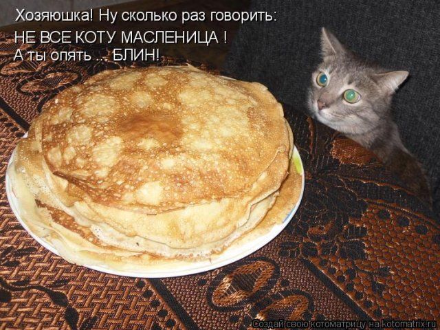 Хозяюшка Ну сколько раз говорить НЕ ВСЕ КОТУ МАСПЕНИЦА БПИ