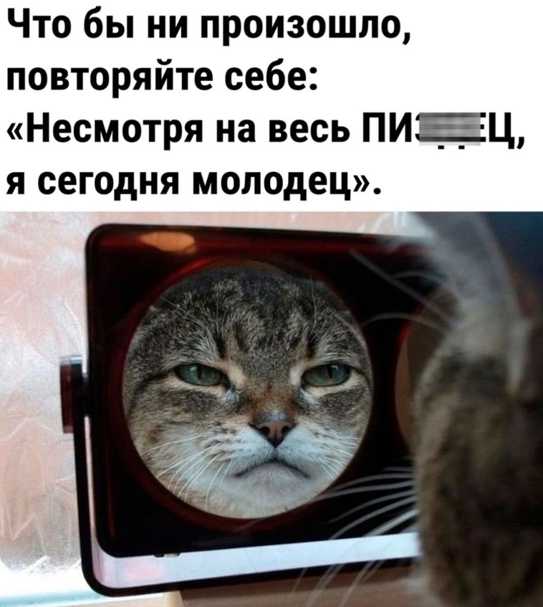 Что бы ни произошло повторяйте себе Несмотря на весь ПИЕЦ я сегодня молодец