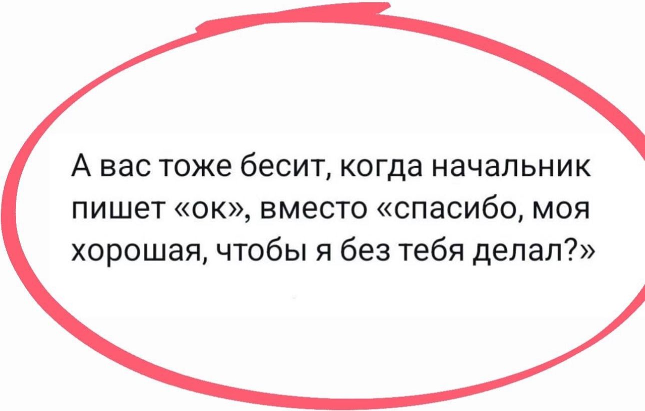 А ВЭС ТОЖЕ бЕСИТ КОГДЭ начальник пишет ок вместо спасибо моя хорошая чтобы я без тебя делал