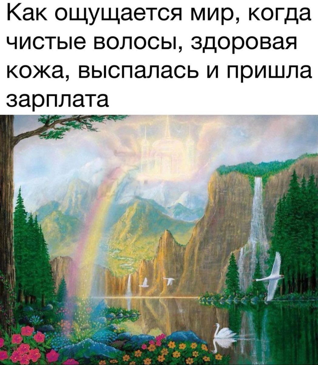 Как ощущается мир когда чистые волосы здоровая кожа выспалась и пришла зарплата