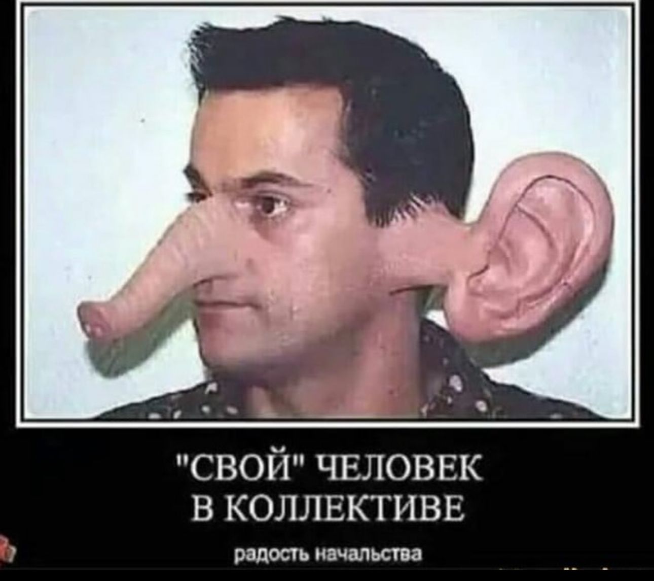 свой чвловвк коллективв Радиан ичіпшн