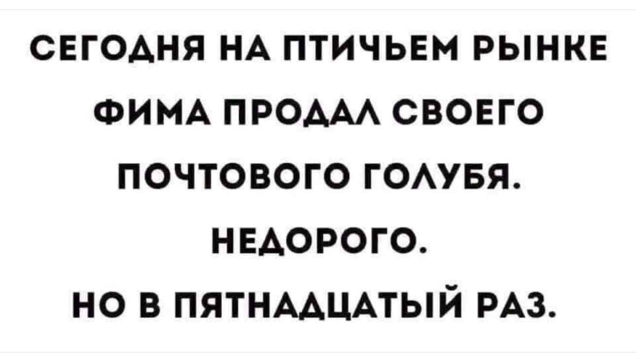 сегодня НА птичьем рынке ФИМА ПРОААА своего почтового гомвя недорого но в пятнмцпый РАЗ