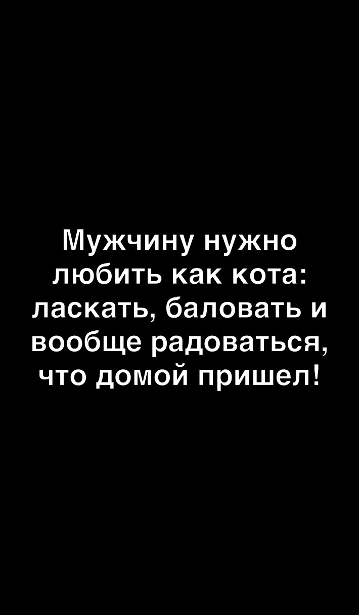 Мужчину нужно любить как кота ласкать баловать и вообще радоваться что домой пришел