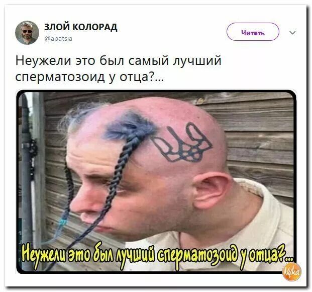 Омойкалоид ч Неужели это был самый лучший сперматозоид у отца