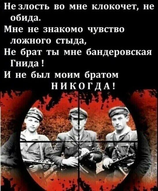 Не злость во мне клокочет не обида Мне не знакомо чувство ложного стыда Не брат ты мне бандеровская Гнида И не был моим братом Н и К О Г Д А