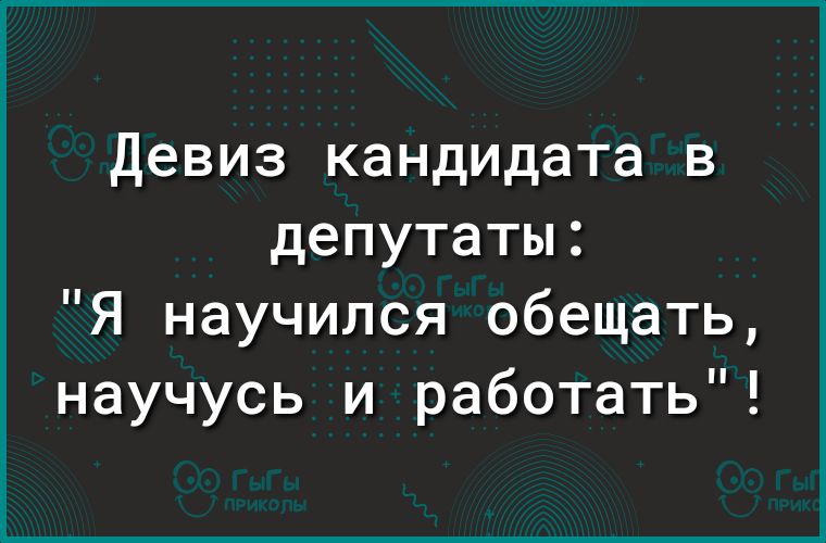Девиз кандидата в депутаты Я научился обещать научусь и работать