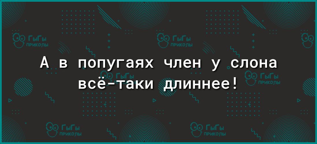 А В попугаях член у слона всё таки длиннее