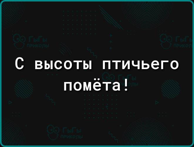 С ВЫСОТЫ ПТИЧЬЭГО помёта