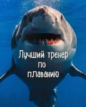 Лччший треи по плаванию