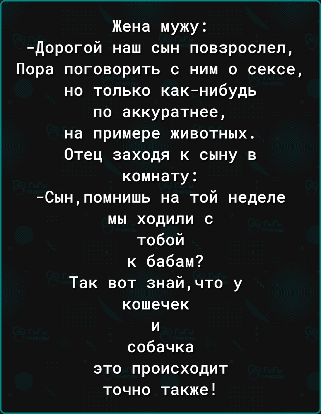 Жена мужу дорогой наш сын повзрослел Пора поговорить с ним о сексе но только как нибудь по аккуратнее на примере животных Отец заходя к сыну в комнату 8ынпомнишь на той неделе мы ходили с тобой к бабам Так вот знайчто у кошечек и собачка это происходит точно также