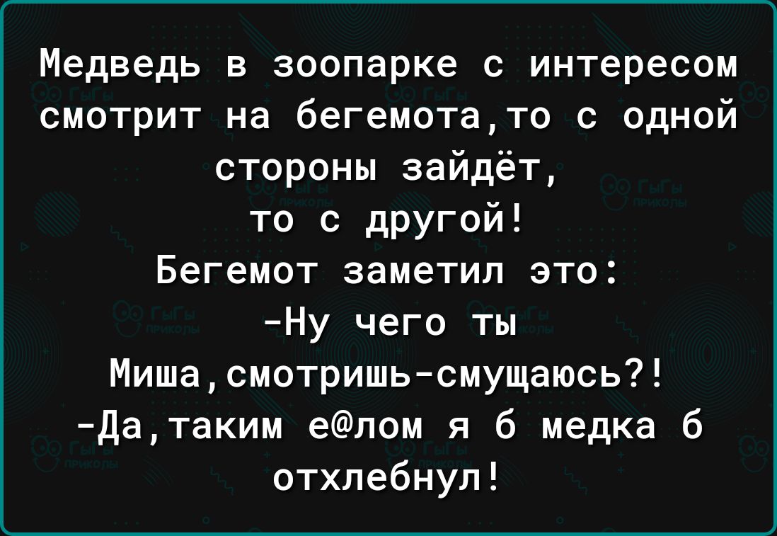 Медведь в зоопарке с интересом смотрит на бегемотато с одной стороны зайдёт то с другой БЕГЕМОТ ЗЗМЭТИП ЭТО Ну чего ты Миша смотришь смущать датаким елом я б медка б отхлебнул