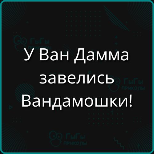 У Ван Дамма завелись Вандамошки