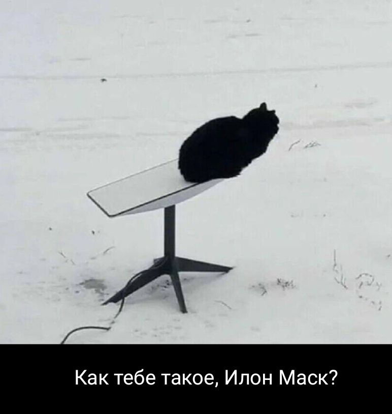 Как тебе такое Илон Маск