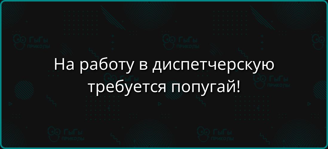 На работу в диспетчерскую требуется попугай