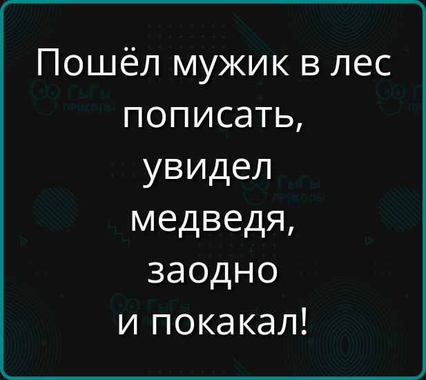 Пошёл мужик в лес пописать увидел медведя заодно и покакал