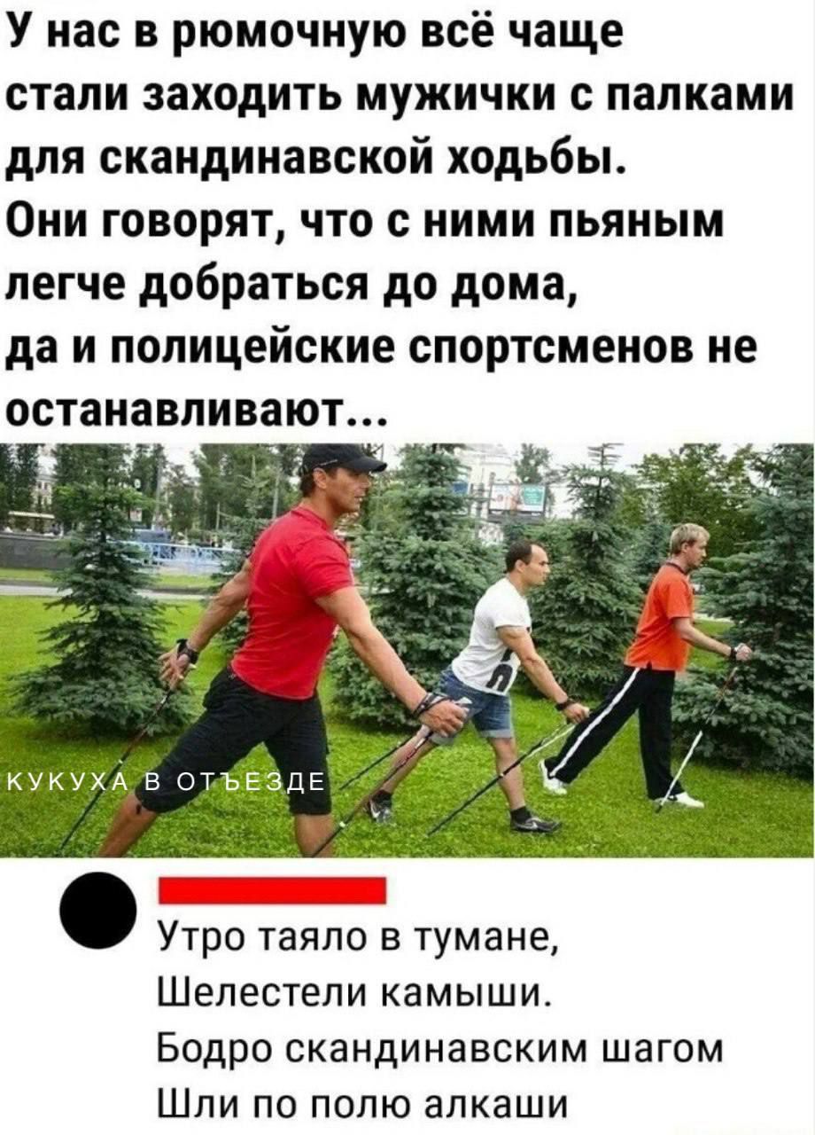 У нас в рюмочную всё чаще стали заходить мужички с палками для скандинавской ходьбы Они говорят что с ними пьяным легче добраться до дома да и полицейские спортсменов не останавливают КУКУХА Утро таяло в тумане Шелестели камыши Бодро скандинавским шагом Шли по полю алкаши