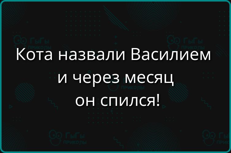 Кота назвали Василием и через месяц он спился