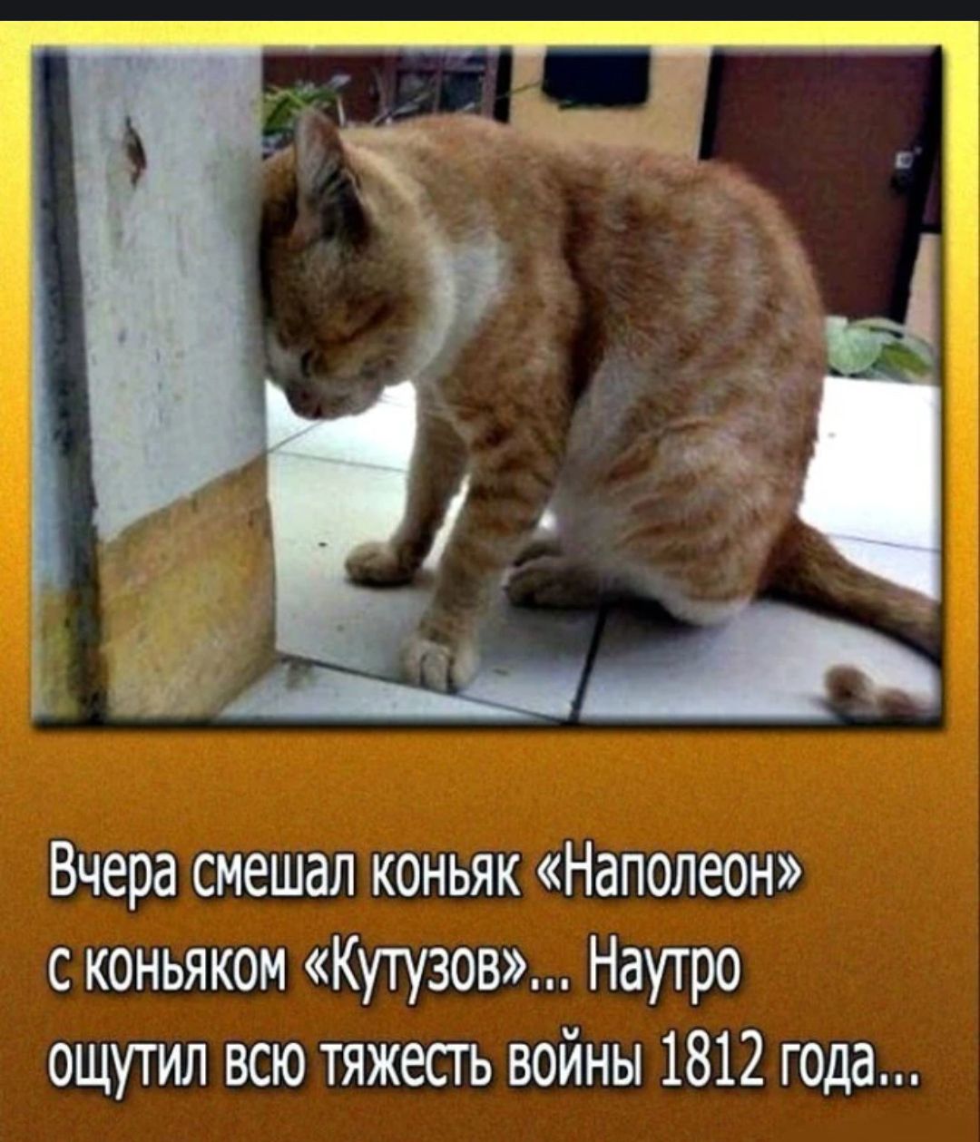 Вчера смешал коньяк «Наполеон» с коньяком «Кутузов»... Наутро ощутил всю тяжесть войны 1812 года...