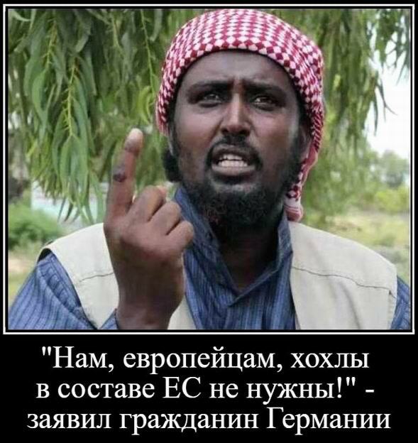 Нам европейцам хохлы в составе ЕС не нужны заявил гражданин Германии