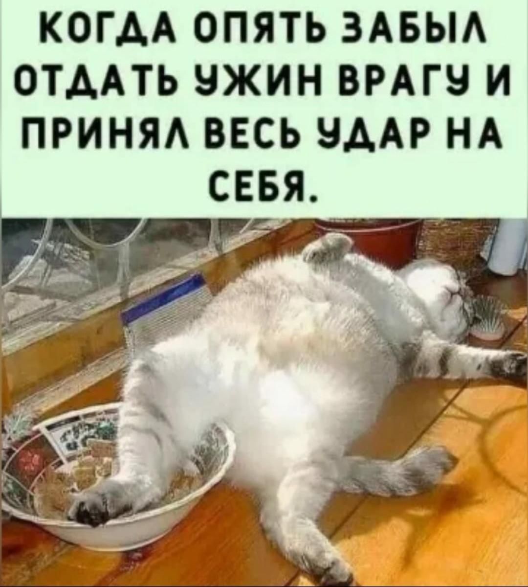 КОГДА ОПЯТЬ ЗАБЫА ОТААТЬ ЗЖИН ВРАГЧ И ПРИНЯА ВЕСЬ ЧААР НА