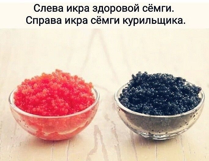 Слева икра здоровой сёмги Справа икра сёмги курильщика