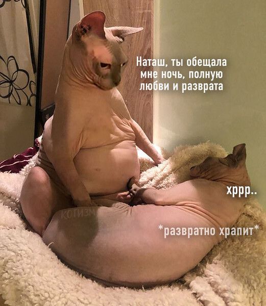 49 хрип _ п храпит