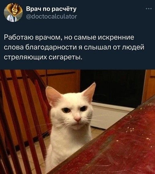 Врач по расчёту Ыососаісщаю Работаю врачом но самые искренние слова благодарности я слышал от людей стреляющих сигареты
