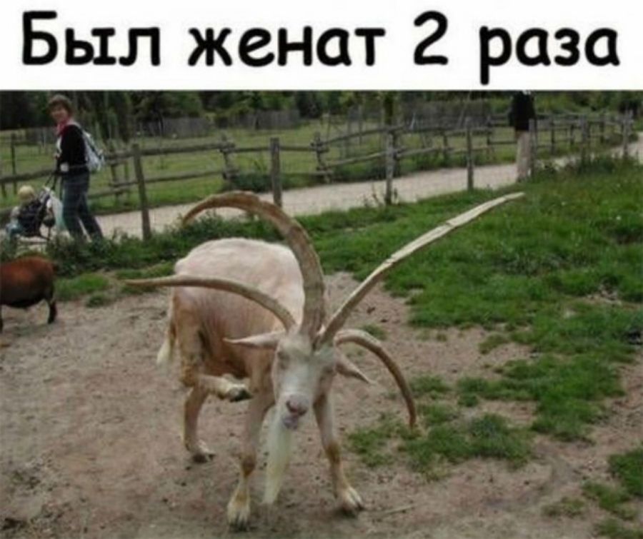 Был женат 2 раза и 3