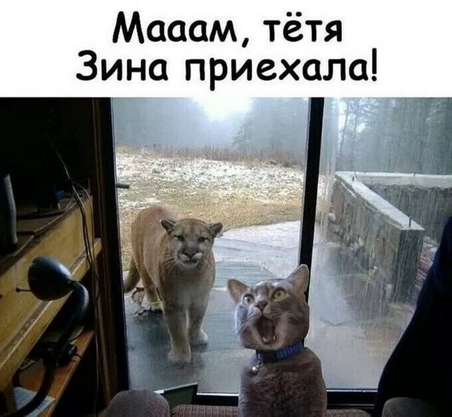 Мааам тётя Зина приехала