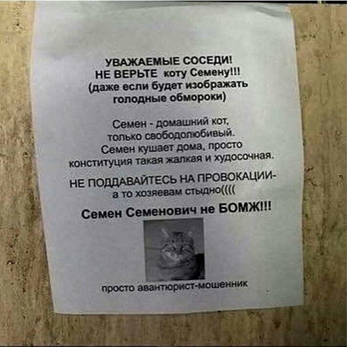 ые сосед нв ВЕРЬТЕ коту Семену даж если бут З обморок 7