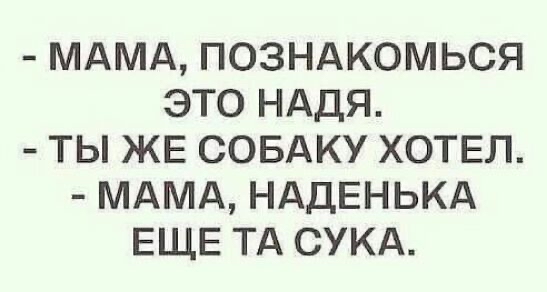 МАМА ПОЗНАКОМЬСЯ ЭТО НАДЯ ТЬ ЖЕ СОБАКУ ХОТЕЛ МАМА НАДЕНЬКА ЕЩЕ ТА СУКА