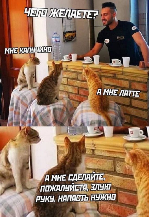 пшкдлнйт каши душ ндплдчЪ Нюши г _т