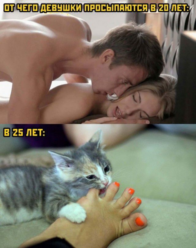 иЧЕШЗ 25 пт