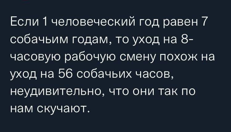 Если 1 человеческий год равен 7 собачьим годам то уход на 8 часовую рабочую смену похож на уход на 56 собачьих часов неудивительно что они так по нам скучают