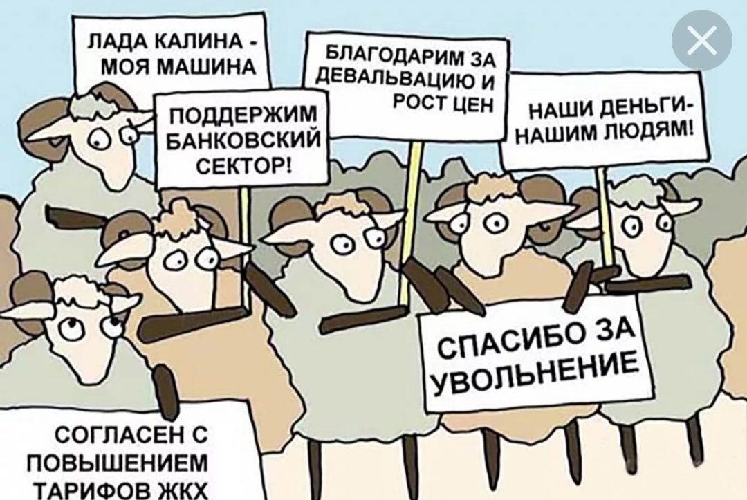 гилд ши моя мдш БдАГОдАРим А дЕвшьвАцию и поддвгжим Бднковскии н инд ндши пЕиьги ндшим топят согпдсви повышением ТАРИФОВ жкх