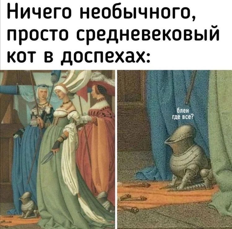 Ничего необычного просто средневековый кот в доспехах _ 0 Ще не 5